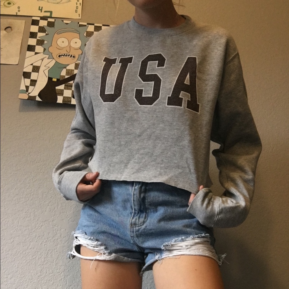 🇱🇷Brandy Melville🇱🇷 Cropped USA Sweatshirt